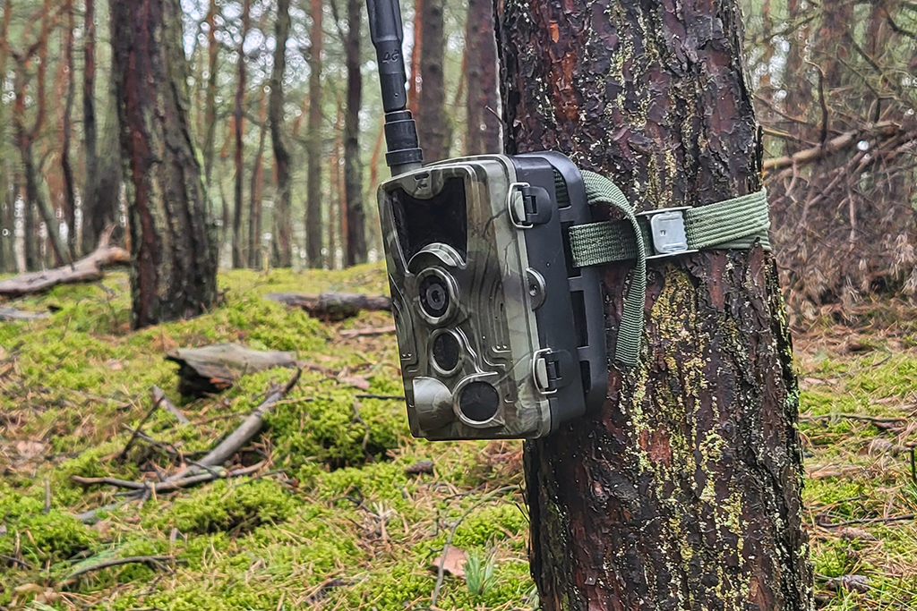Trail camera.
